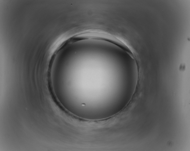 X0000092290007200709281315