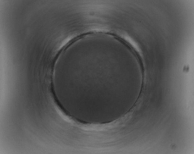 X0000092290009200709281315