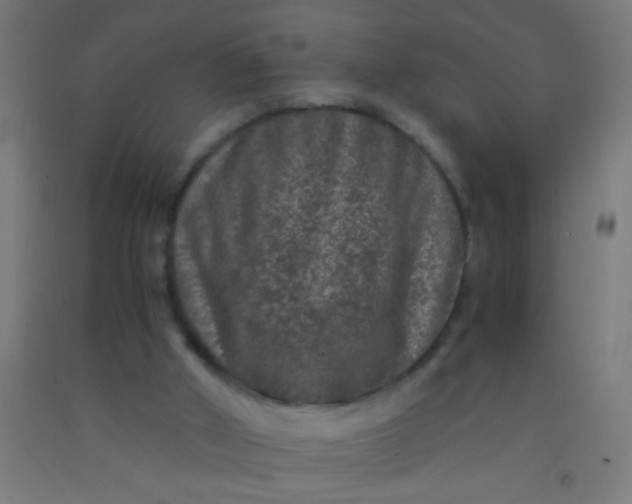 X0000092290010200709281315