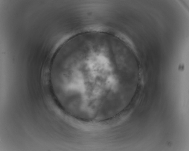 X0000092290012200709281315