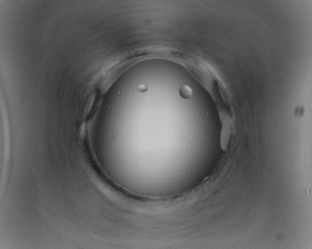 X0000092290013200709281315