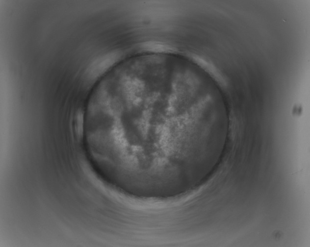 X0000092290014200709281315