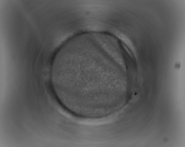 X0000092290017200709281315