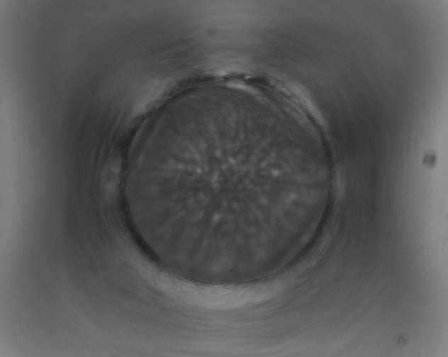 X0000092290018200709281315