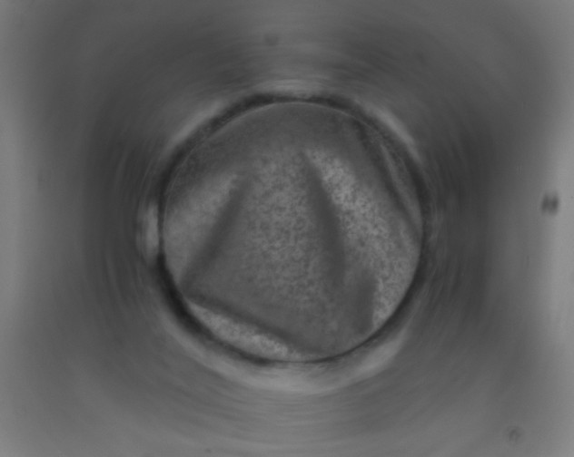 X0000092290020200709281315