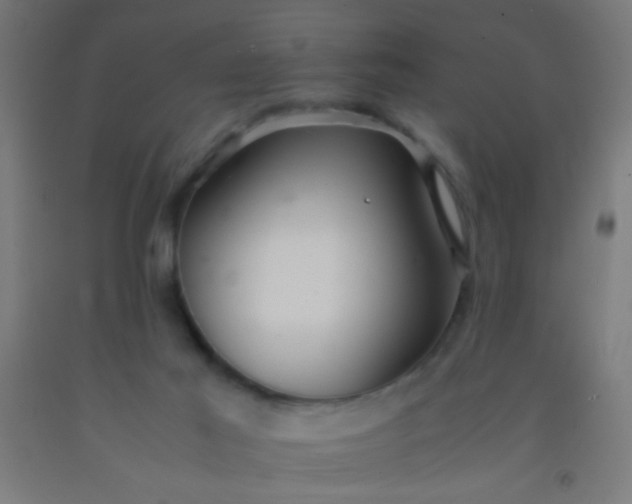 X0000092290021200709281315