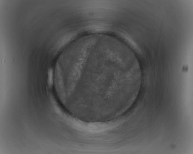 X0000092290022200709281315