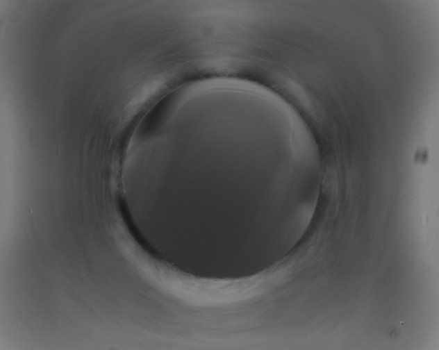 X0000092290023200709281315