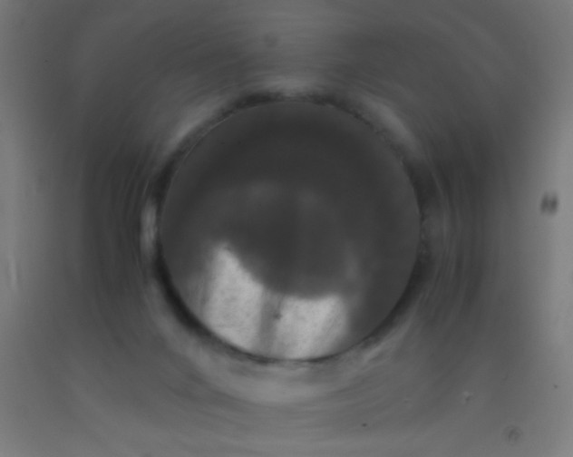 X0000092290024200709281315