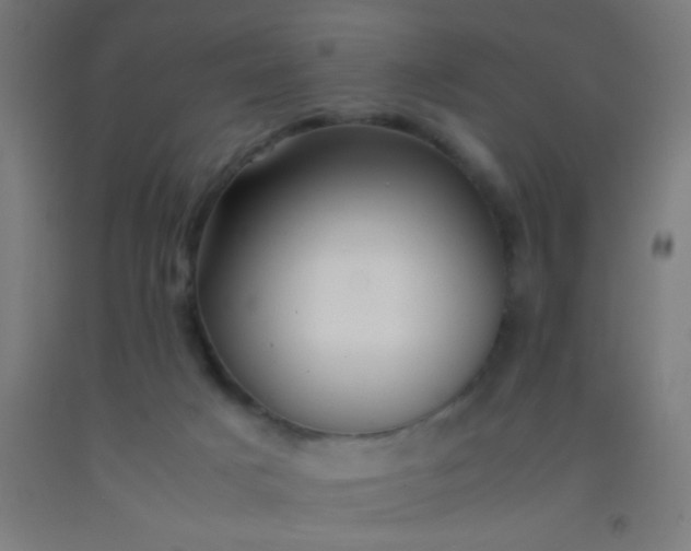 X0000092290025200709281315