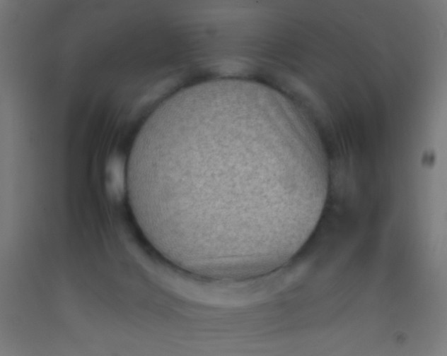 X0000092290028200709281315