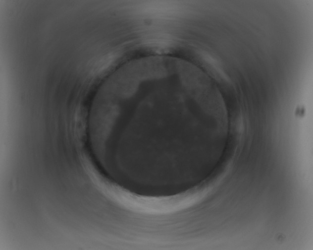 X0000092290030200709281315