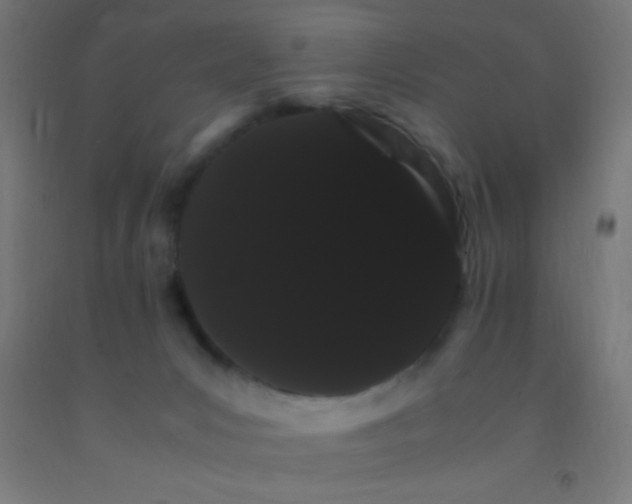 X0000092290031200709281315