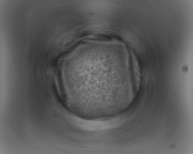 X0000092290034200709281315