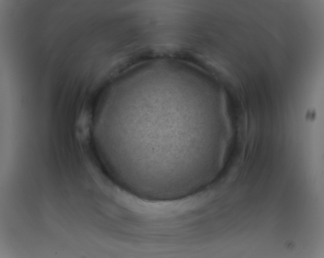 X0000092290038200709281315