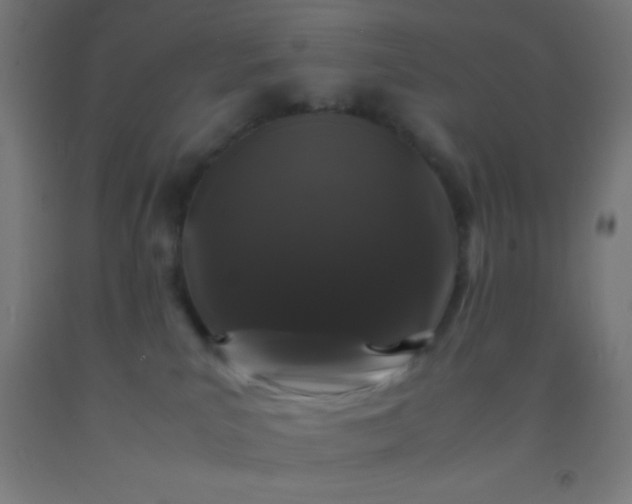 X0000092290039200709281315