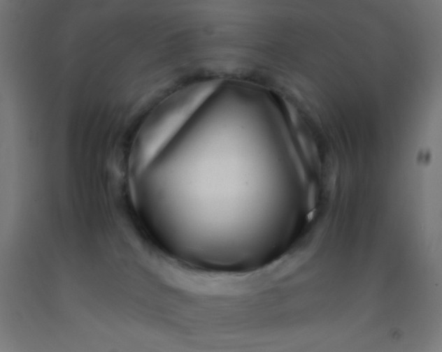 X0000092290040200709281315