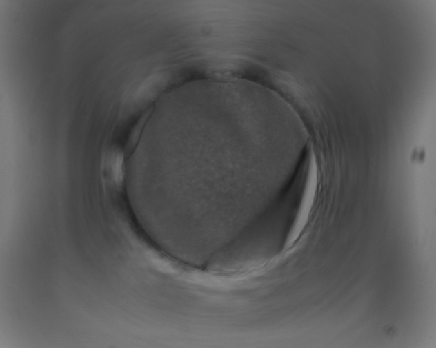 X0000092290041200709281315