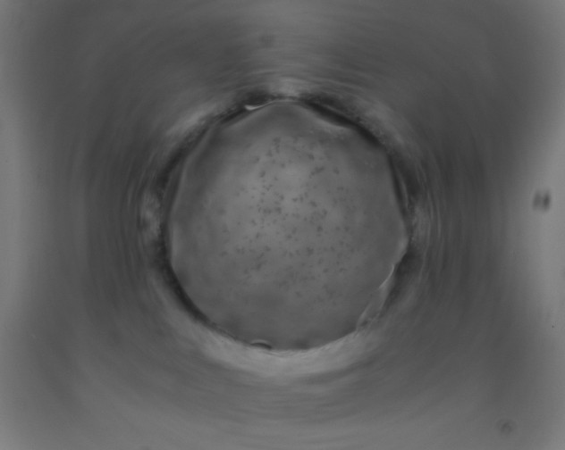 X0000092290043200709281314