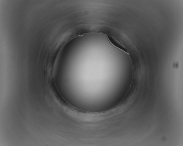 X0000092290044200709281314