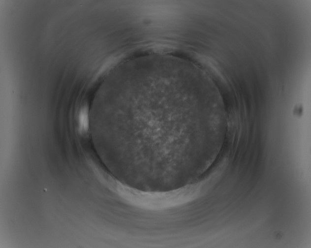 X0000092290046200709281314