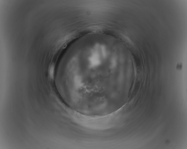 X0000092290047200709281314