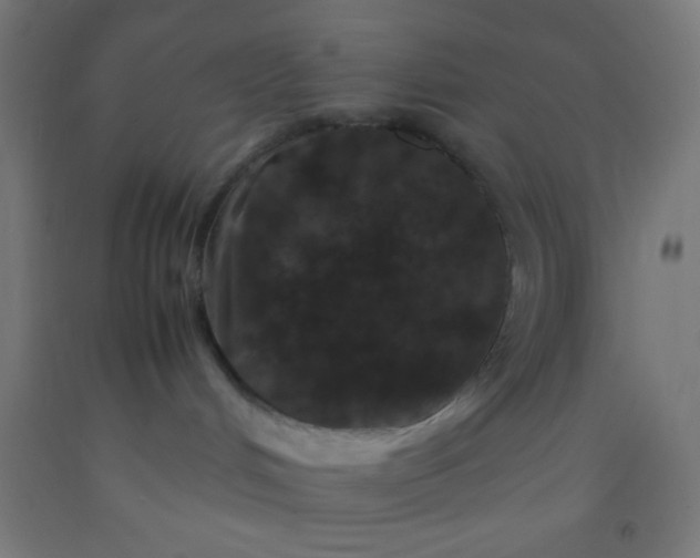 X0000092290048200709281314