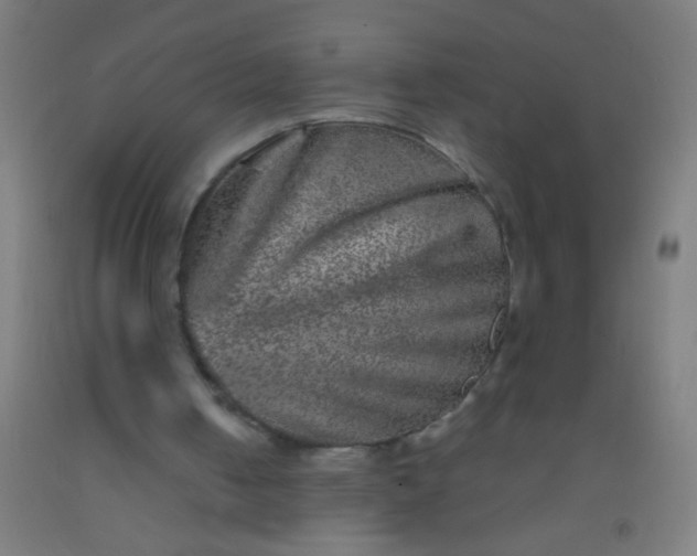 X0000092290050200709281314