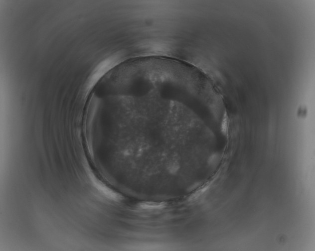 X0000092290051200709281314