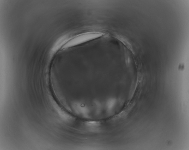 X0000092290053200709281314