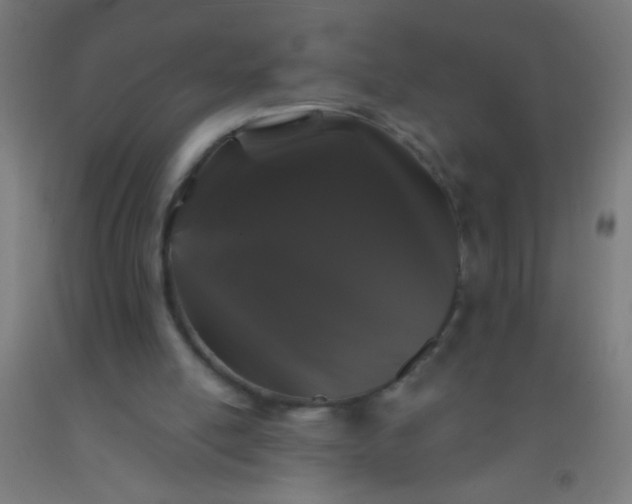 X0000092290054200709281314