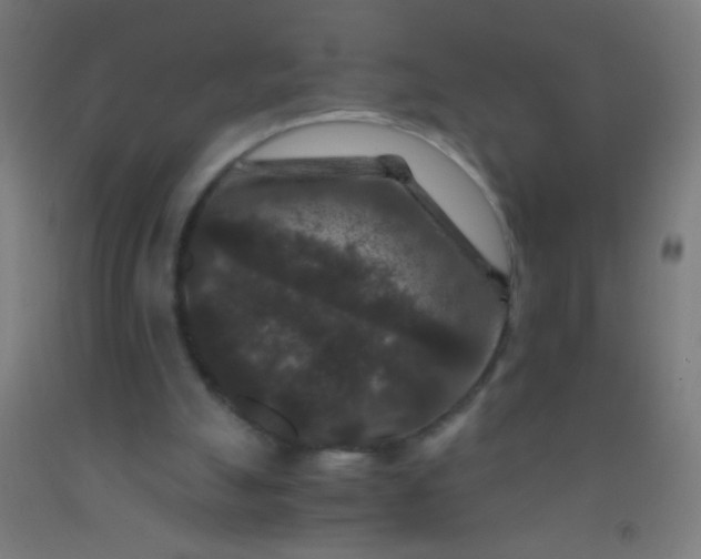 X0000092290055200709281314