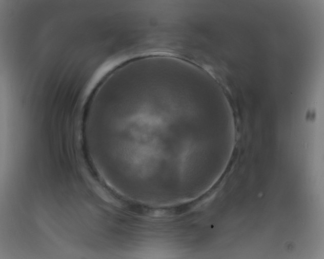 X0000092290056200709281314