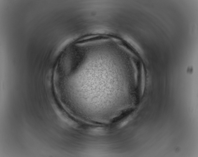 X0000092290058200709281314