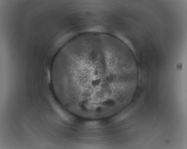 X0000092290061200709281314