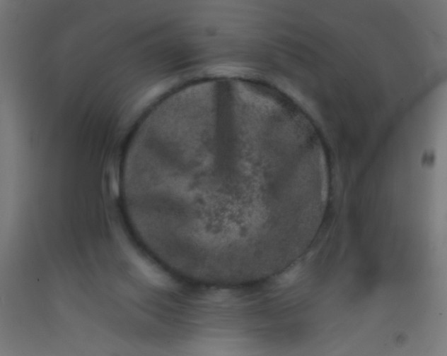 X0000092290062200709281314