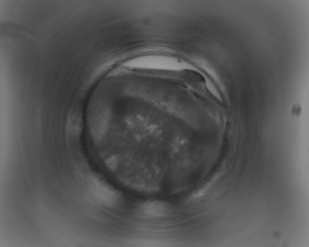 X0000092290063200709281314