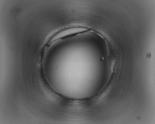 X0000092290064200709281314