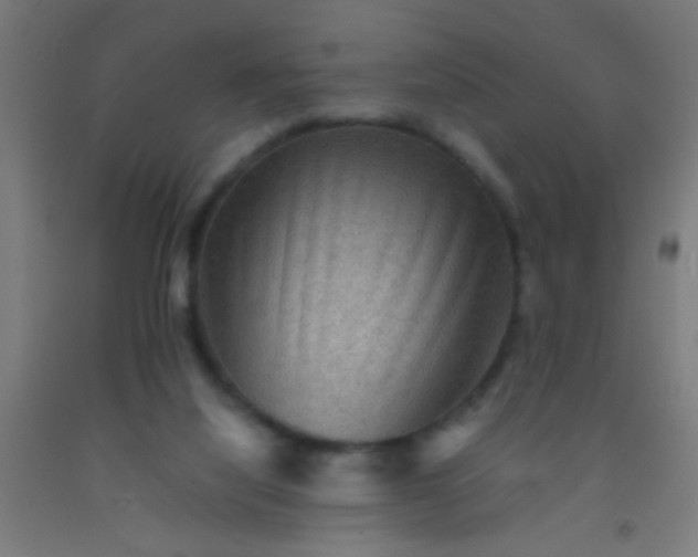 X0000092290068200709281314