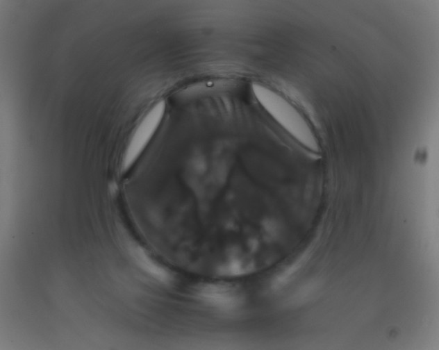 X0000092290069200709281314