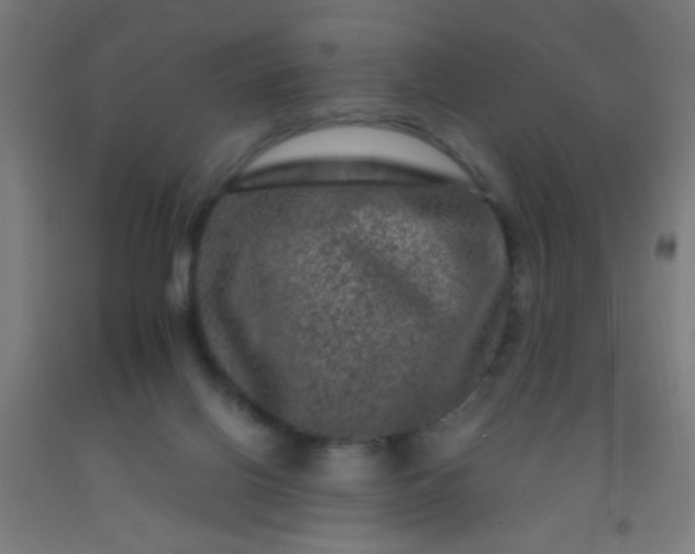 X0000092290070200709281314