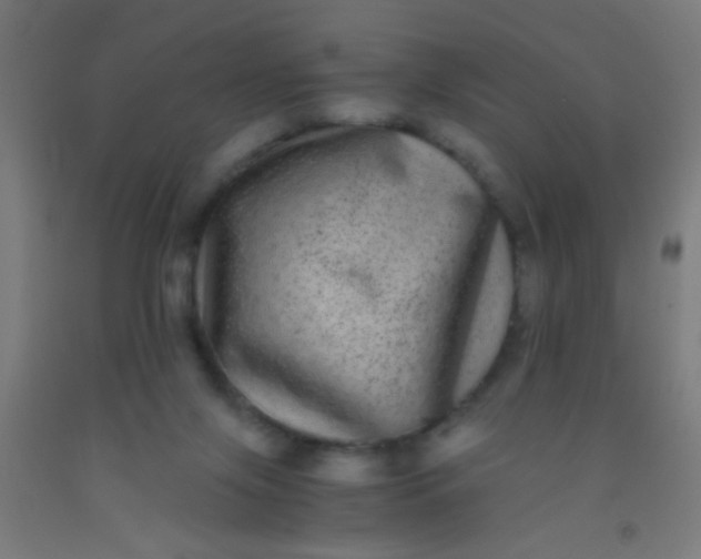 X0000092290071200709281314