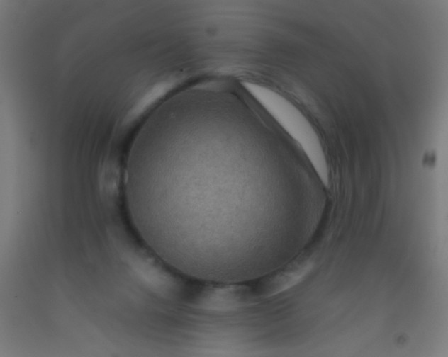 X0000092290072200709281314