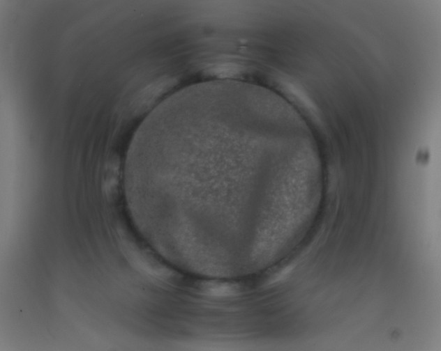 X0000092290073200709281314