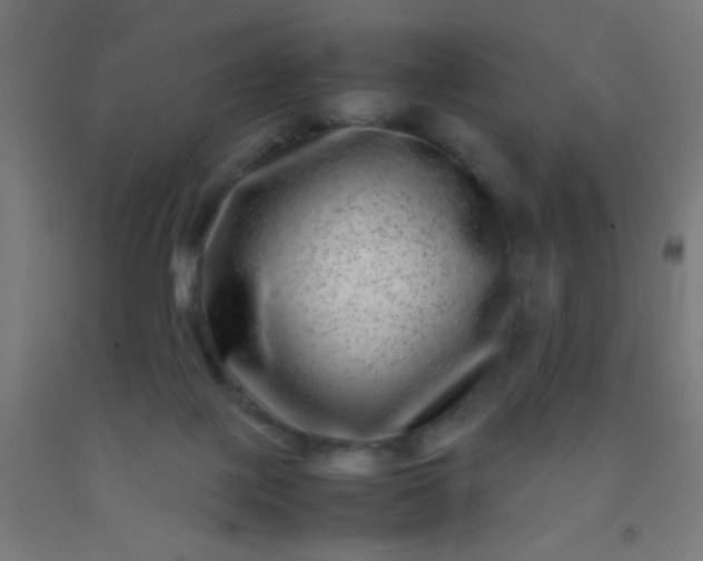 X0000092290075200709281314