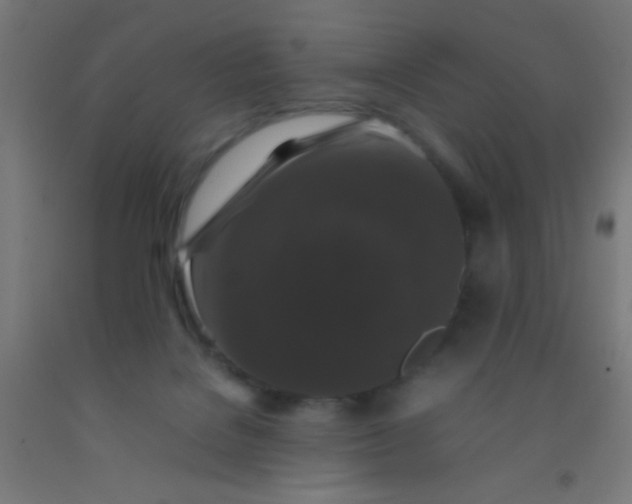 X0000092290076200709281314