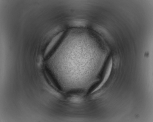 X0000092290077200709281314