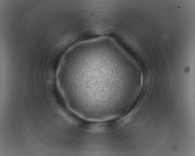 X0000092290078200709281314