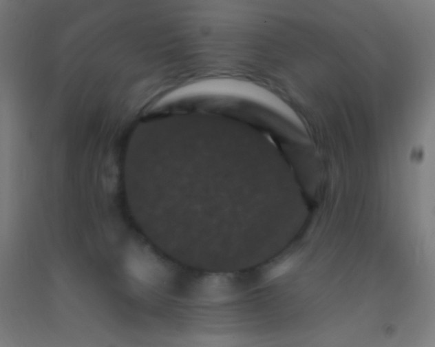 X0000092290080200709281314