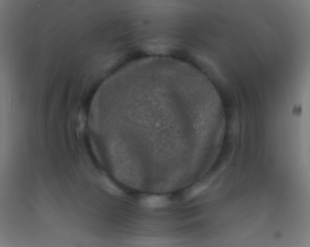 X0000092290081200709281314